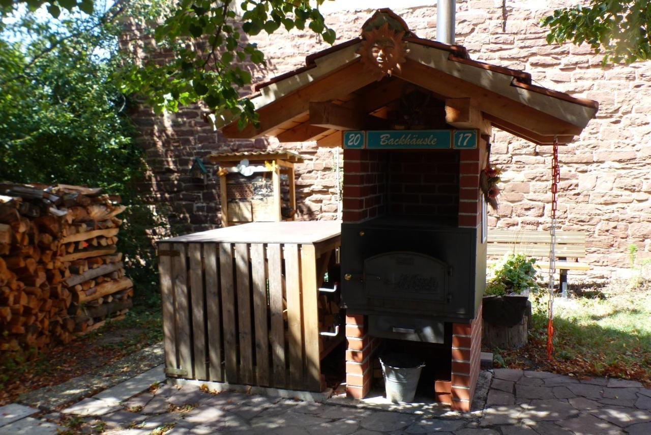 Pension Schreckhof Мосбах Экстерьер фото